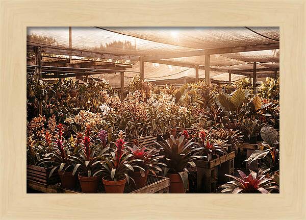 Exotic Plant Paradise