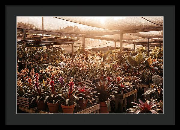 Exotic Plant Paradise