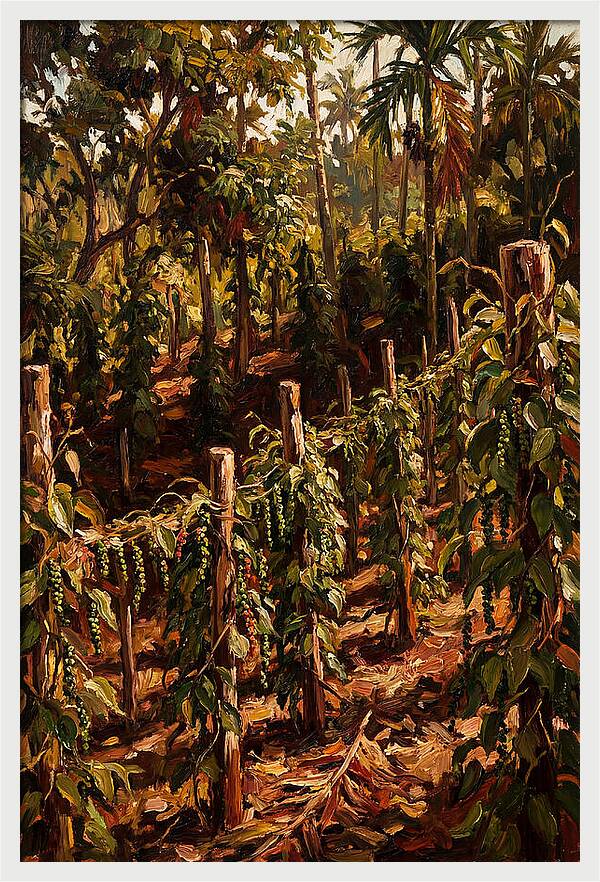 Exotic Spice Plantation