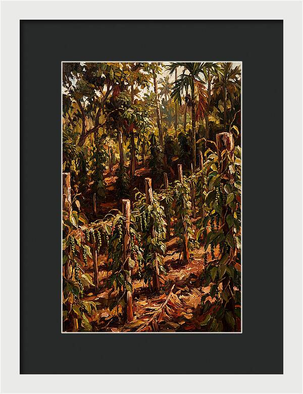 Exotic Spice Plantation