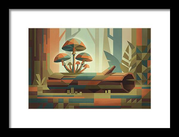 Exotic Tropical Mushrooms
