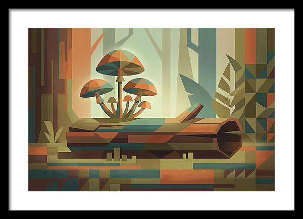 Exotic Tropical Mushrooms