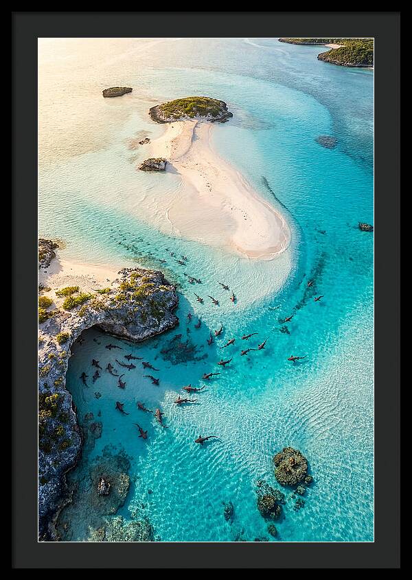 Exuma Cays Aerial Serenity