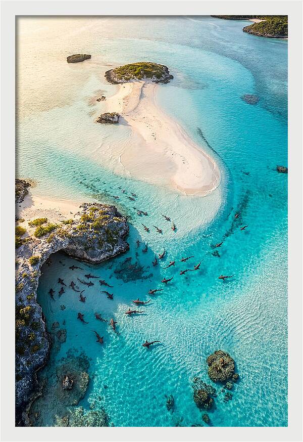 Exuma Cays Aerial Serenity