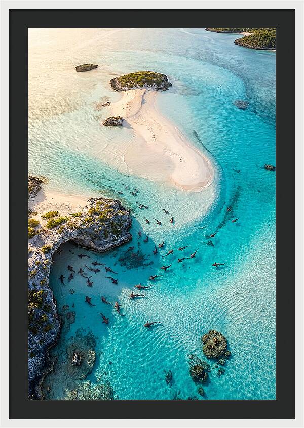 Exuma Cays Aerial Serenity