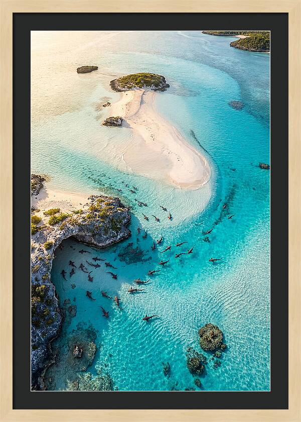Exuma Cays Aerial Serenity