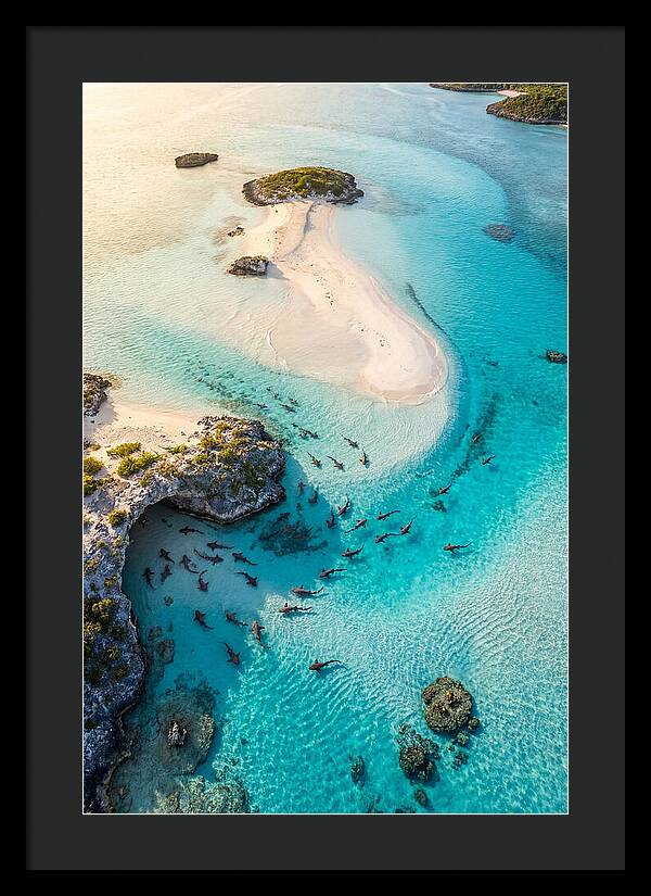 Exuma Cays Aerial Serenity