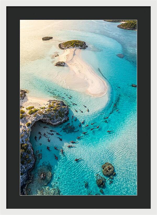 Exuma Cays Aerial Serenity
