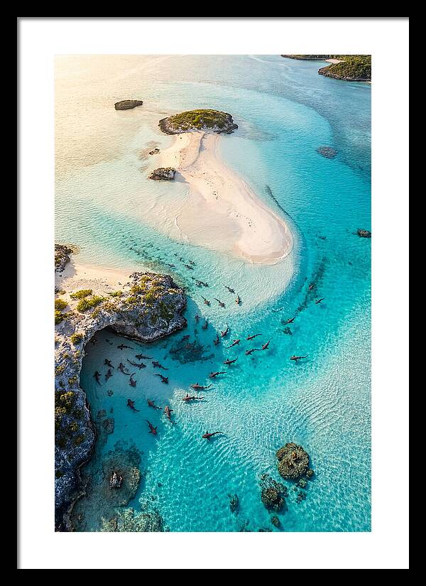 Exuma Cays Aerial Serenity