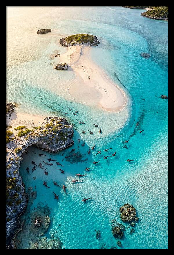 Exuma Cays Aerial Serenity