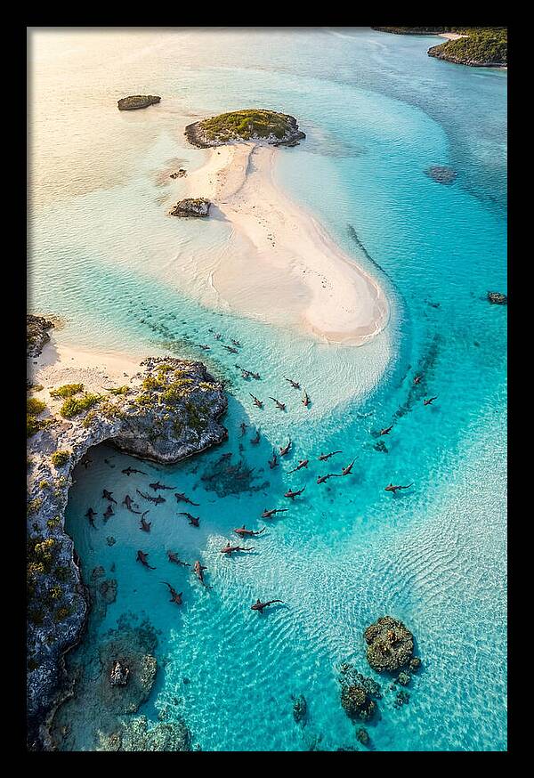 Exuma Cays Aerial Serenity