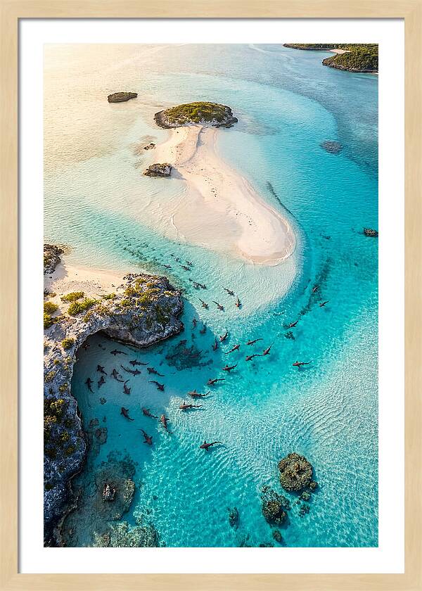 Exuma Cays Aerial Serenity