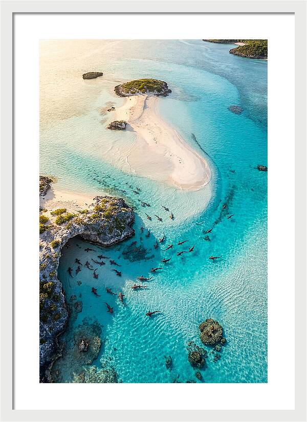 Exuma Cays Aerial Serenity