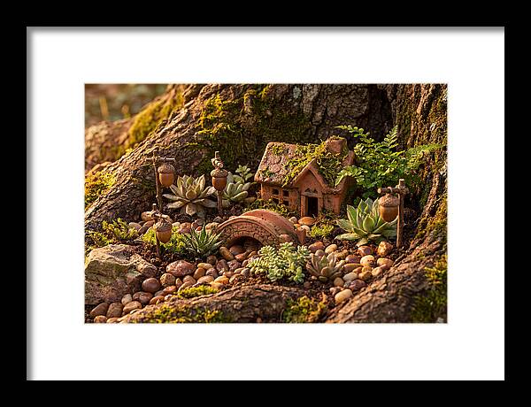 Fairy Garden Delight