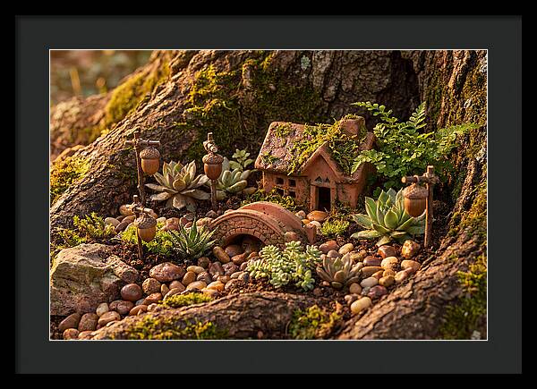 Fairy Garden Delight