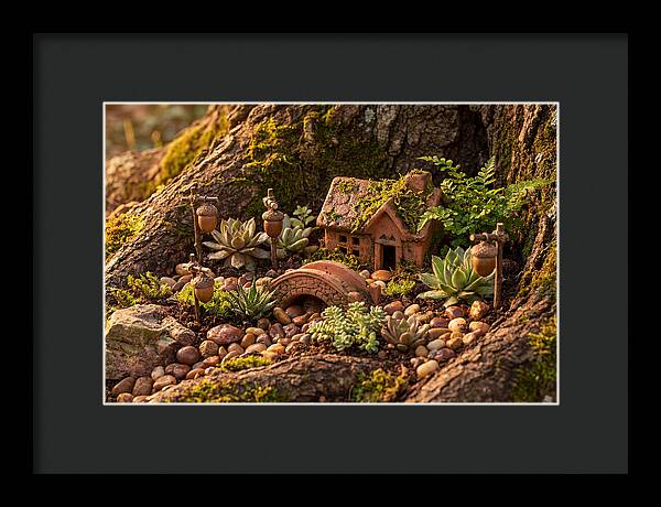 Fairy Garden Delight