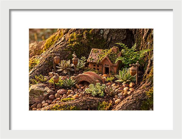 Fairy Garden Delight