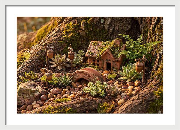 Fairy Garden Delight