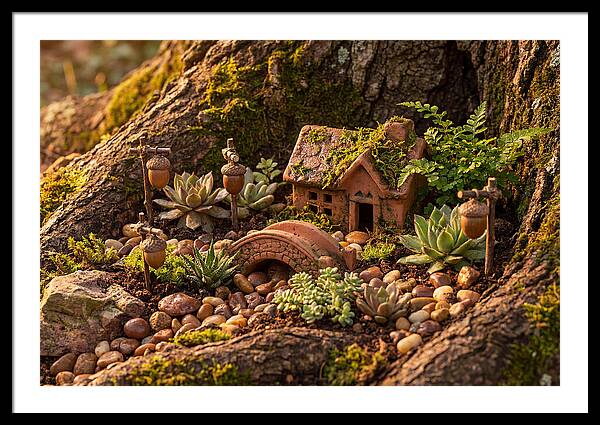 Fairy Garden Delight
