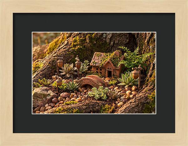 Fairy Garden Delight