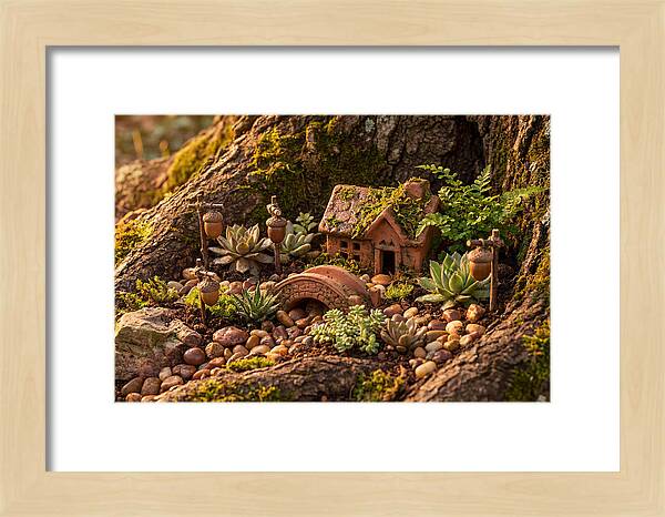 Fairy Garden Delight