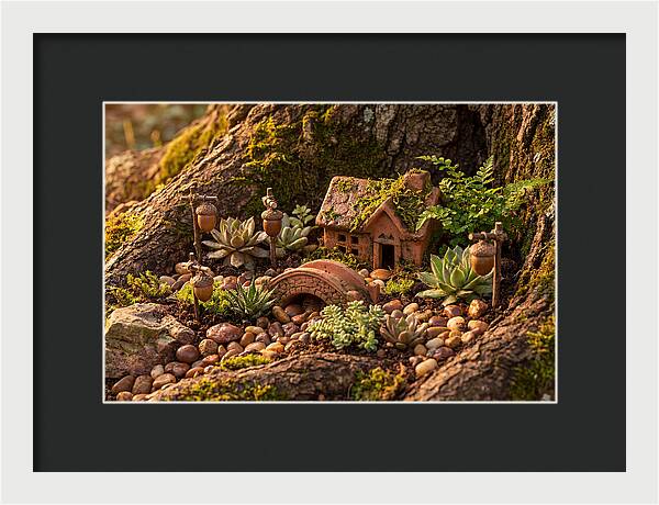 Fairy Garden Delight