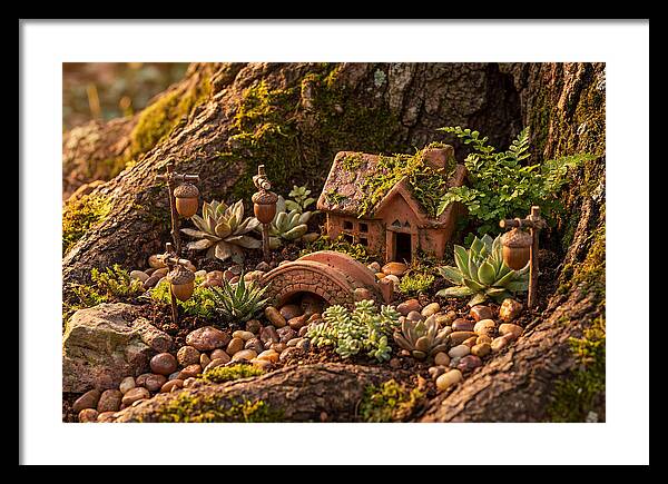Fairy Garden Delight