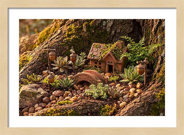 Fairy Garden Delight