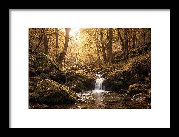 Fairy Glen Serenity