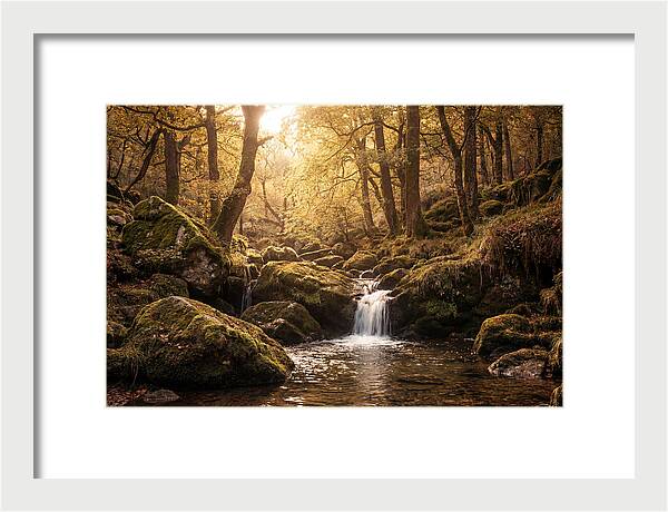 Fairy Glen Serenity