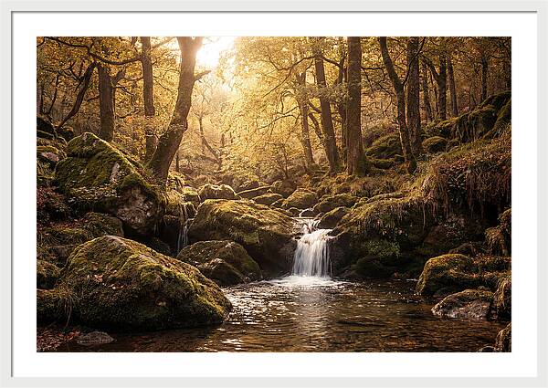 Fairy Glen Serenity