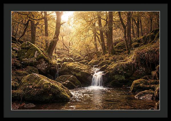 Fairy Glen Serenity