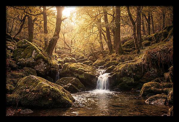 Fairy Glen Serenity