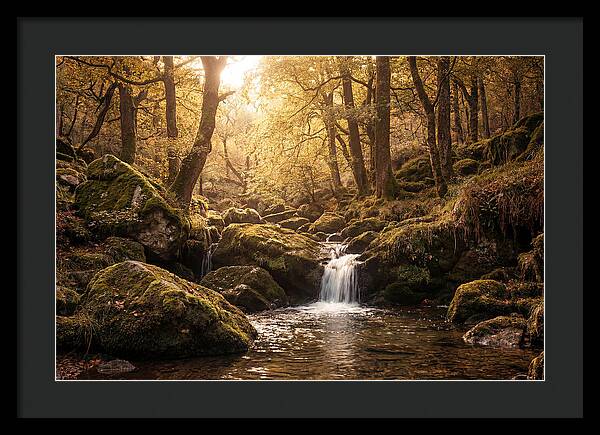 Fairy Glen Serenity