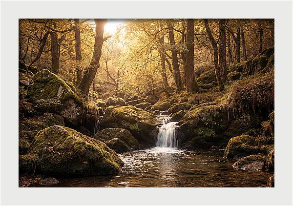 Fairy Glen Serenity