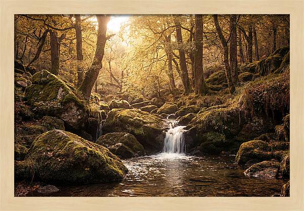 Fairy Glen Serenity