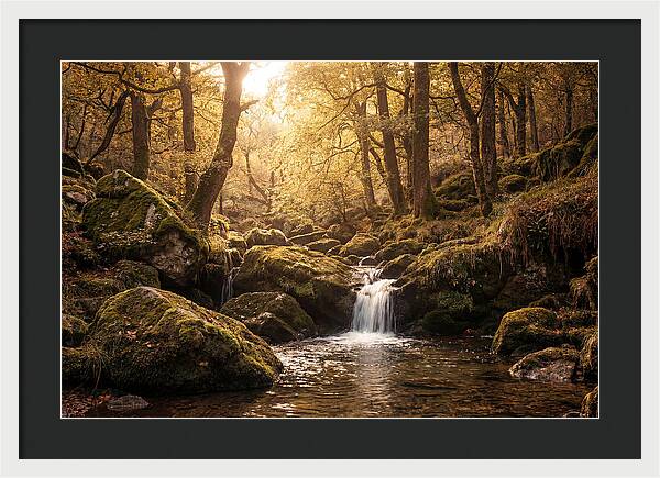 Fairy Glen Serenity