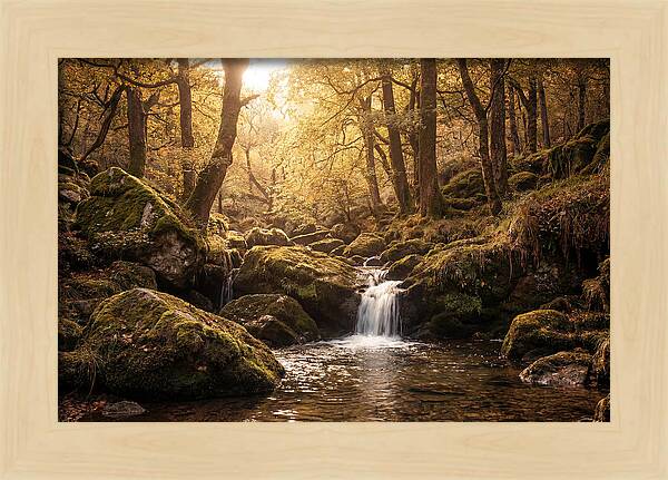 Fairy Glen Serenity