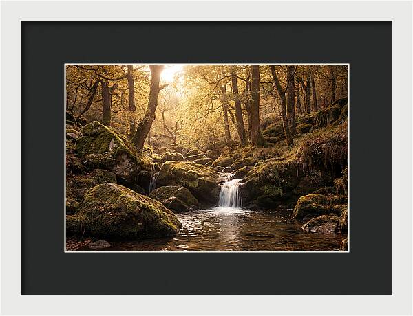 Fairy Glen Serenity
