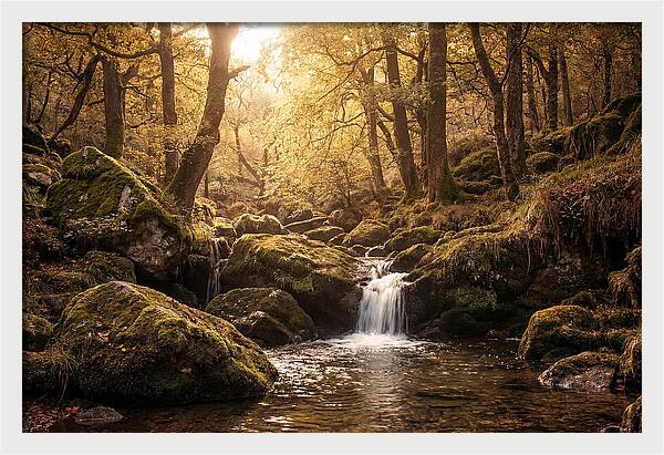 Fairy Glen Serenity