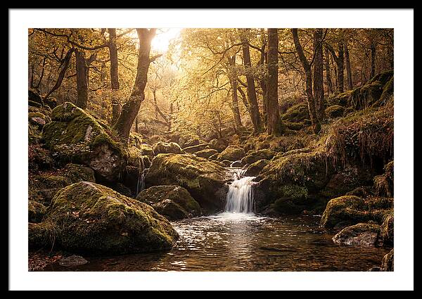 Fairy Glen Serenity