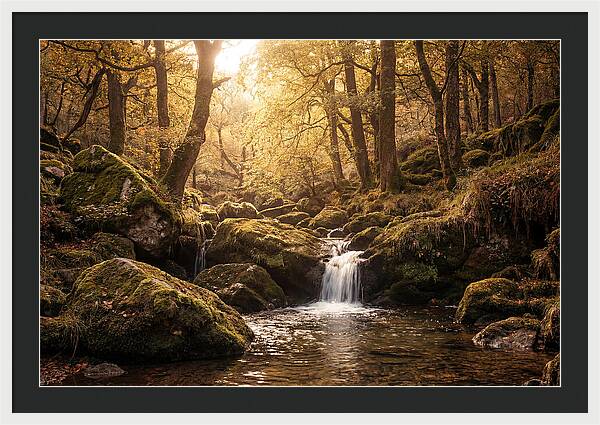 Fairy Glen Serenity