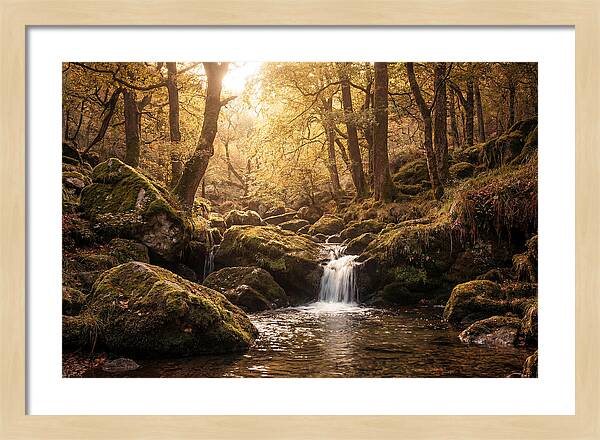 Fairy Glen Serenity
