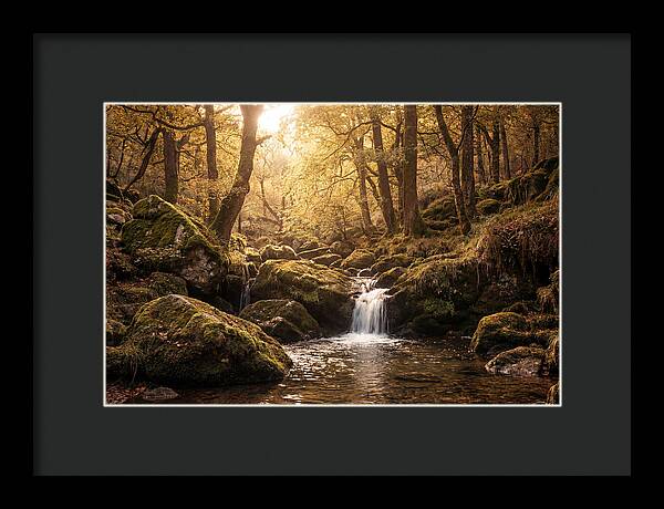 Fairy Glen Serenity