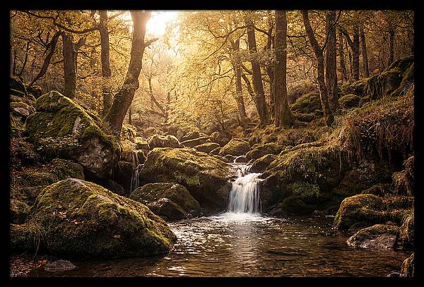 Fairy Glen Serenity