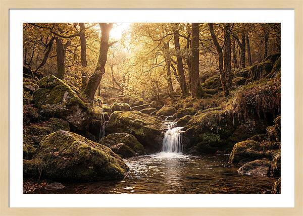 Fairy Glen Serenity