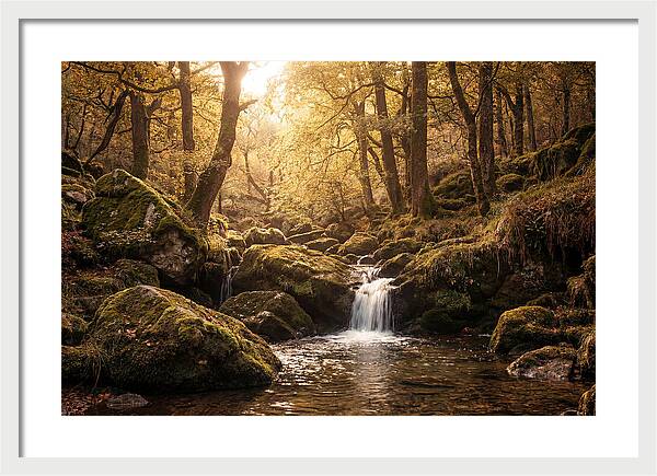Fairy Glen Serenity
