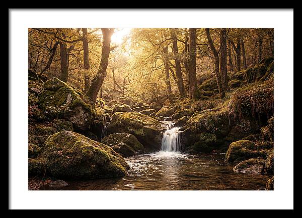 Fairy Glen Serenity