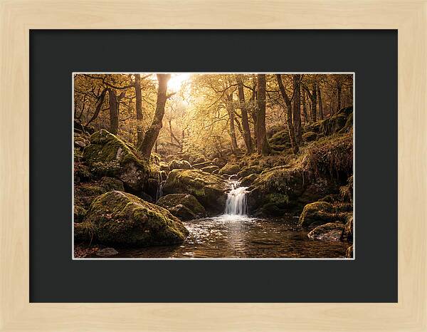 Fairy Glen Serenity