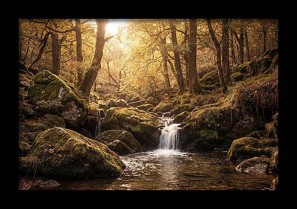Fairy Glen Serenity